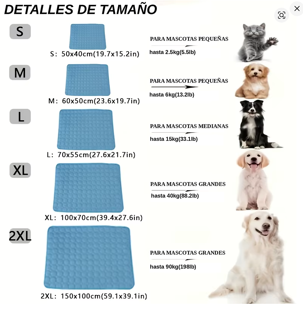Guía de tallas